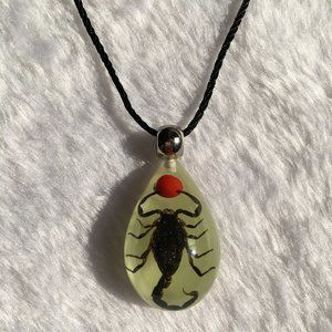 Necklace pendant, Scorpion King amber from nature